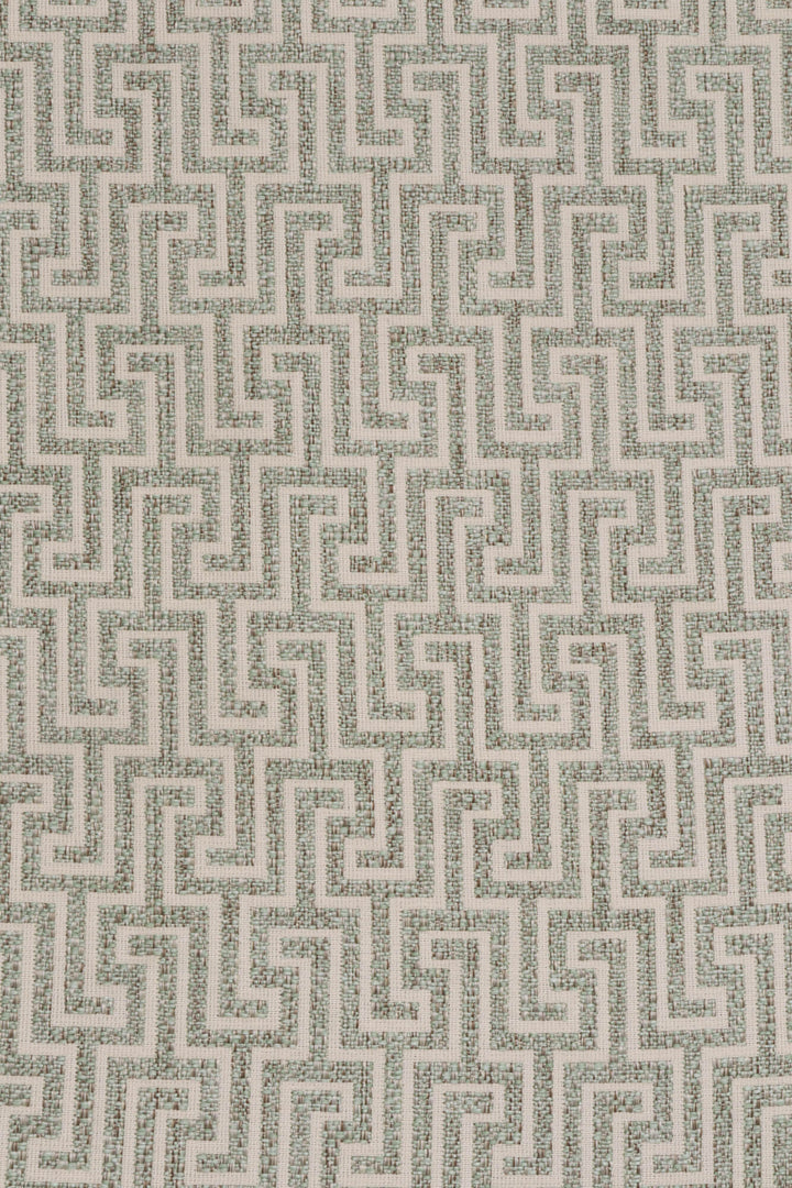 Hercules Rosemary Fabric