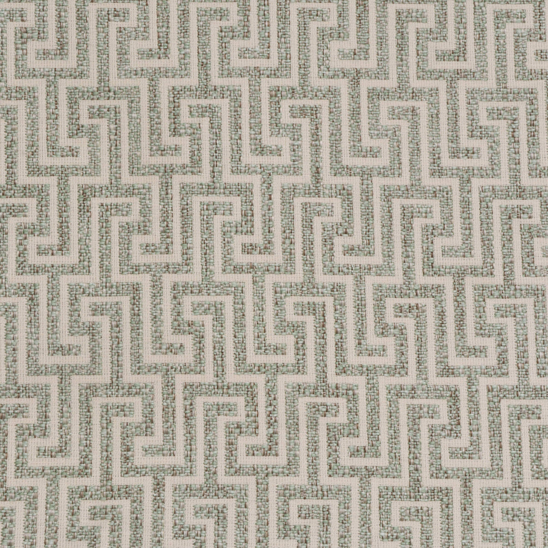 Hercules Rosemary Fabric