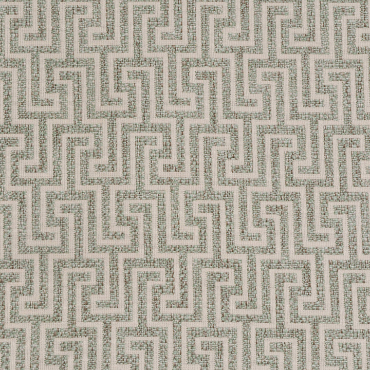 Hercules Rosemary Fabric