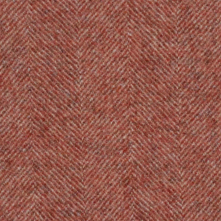 Abraham Moon Chevron Rhodolite Fabric