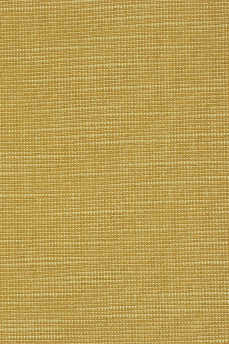 Clearance Monte Carlo Gold Fabric