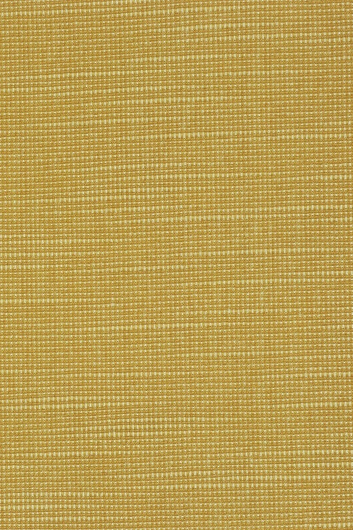 Clearance Monte Carlo Gold Fabric