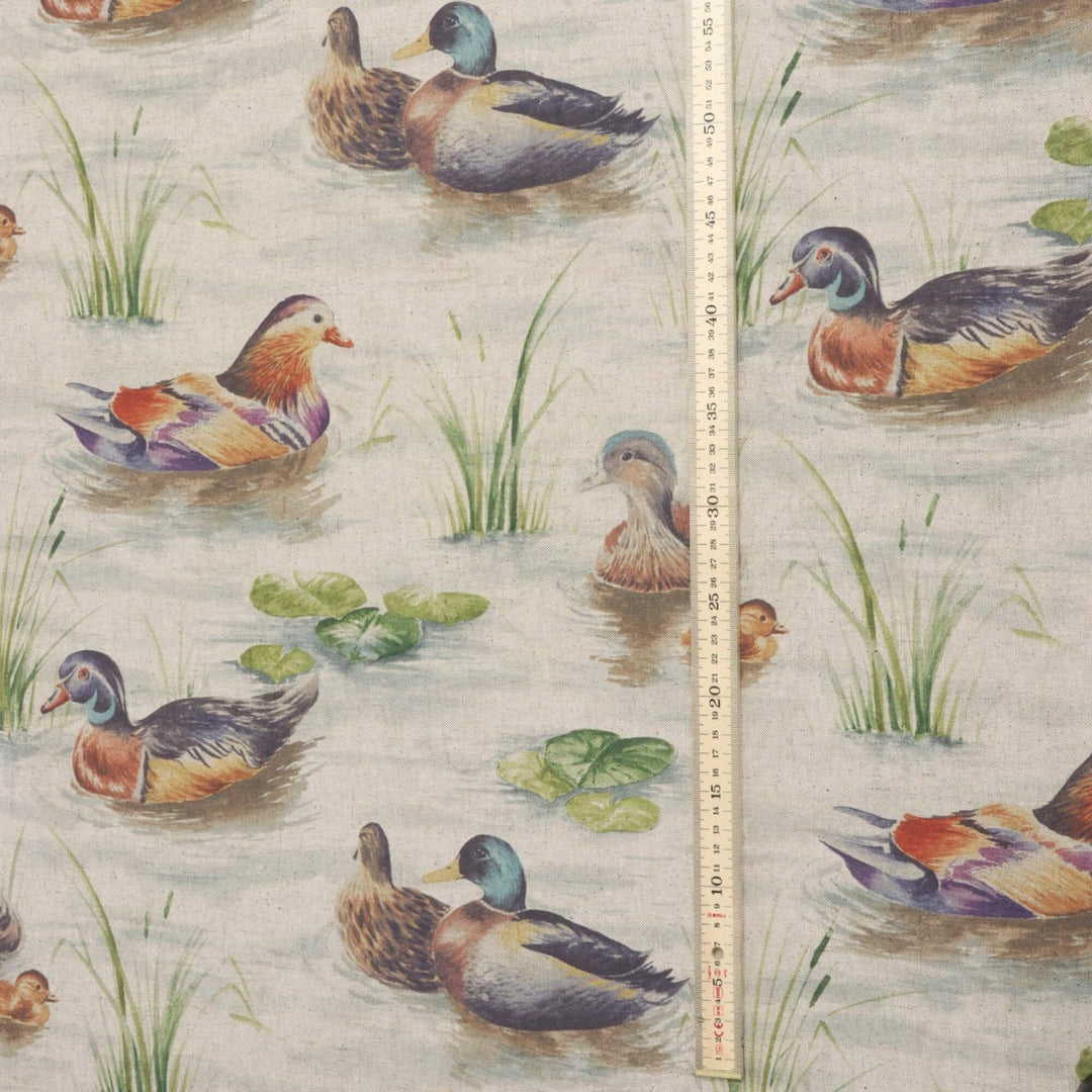 Duck Pond Fabric