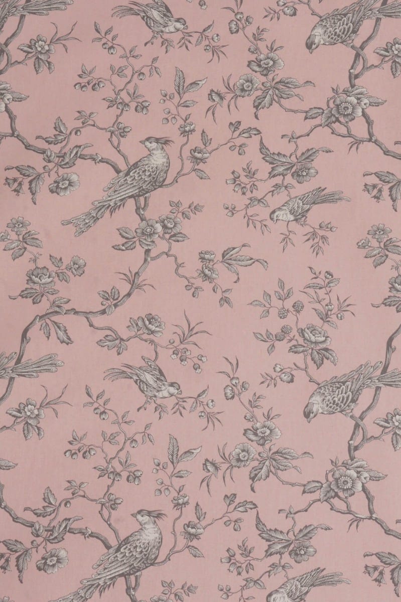 Isabelle Bird Toile Candy Cotton Double Width Fabric