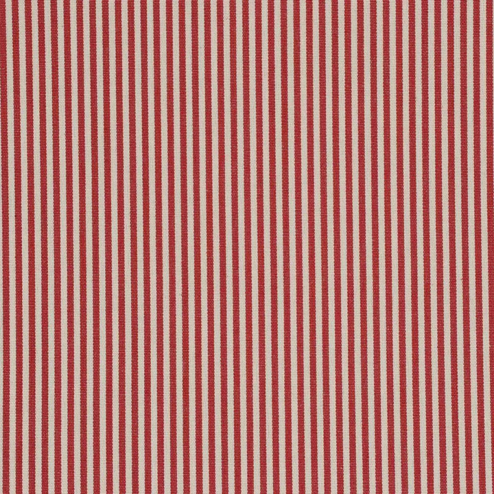 Pinstripe Red Fabric