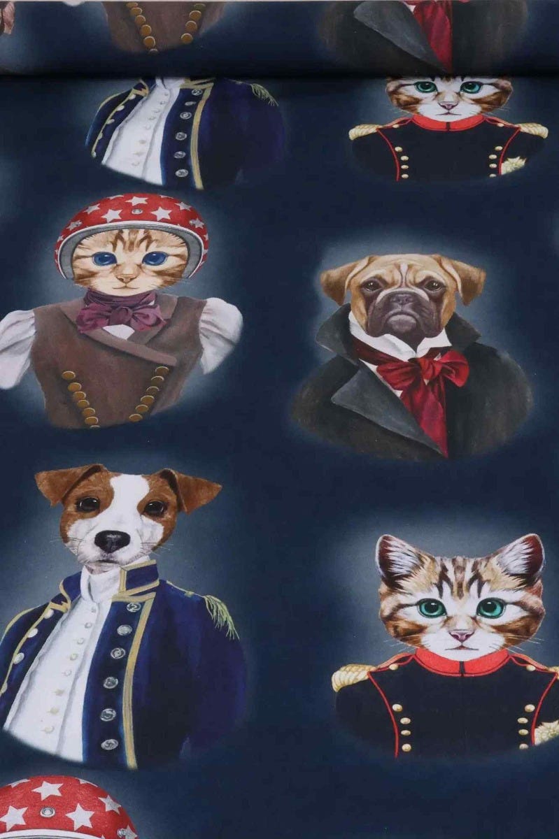 The Pooch & Tabby Navy Fabric