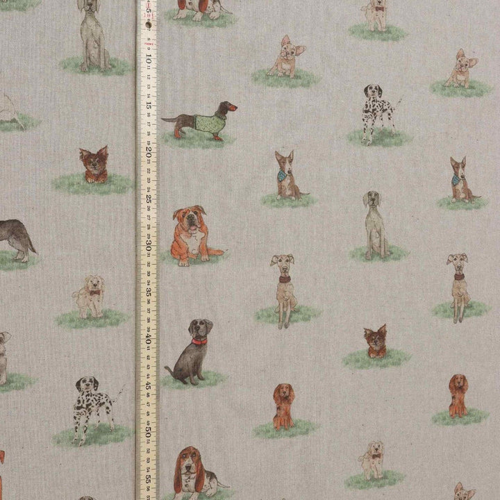 Dog Show Fabric