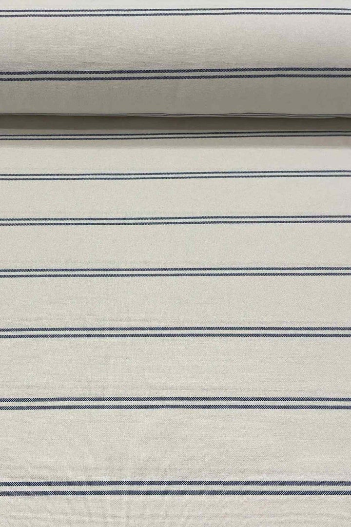 Toulouse Stripe Blue Double Width Fabric