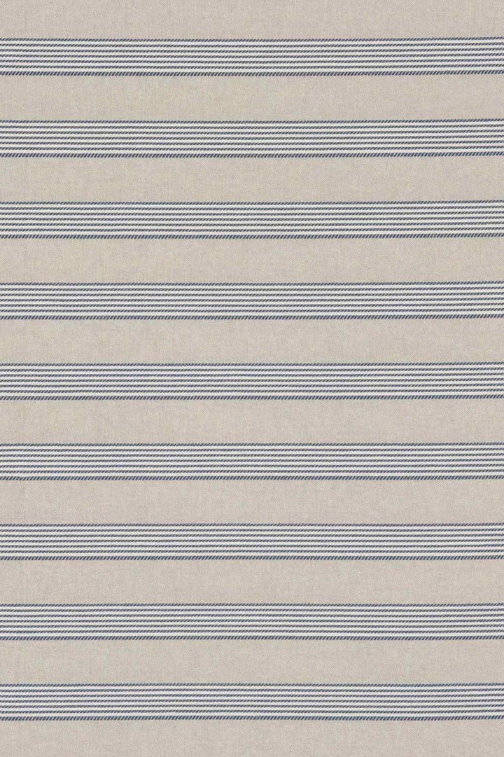 Dartmouth Stripe Blue Double Width Fabric